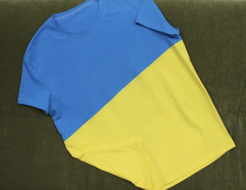 Дитяча футболка Блакитно-жовта для дівчинки з принтом |  Галичанка фото 1