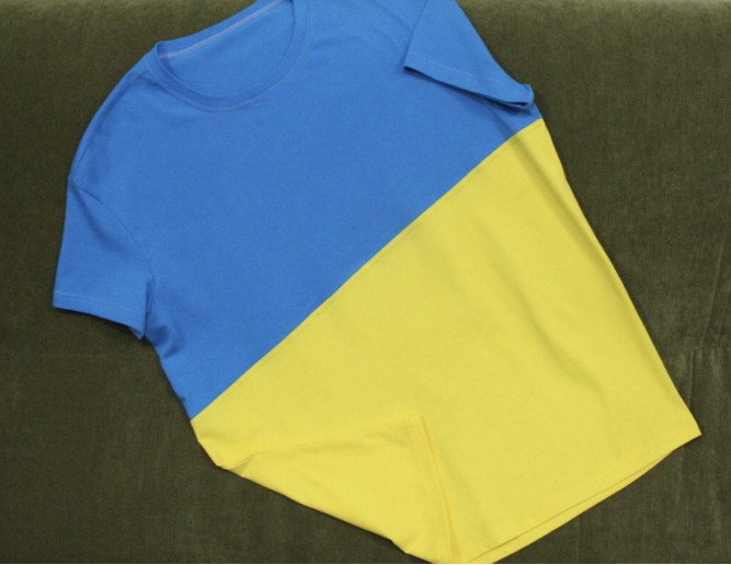 Купити чоловічу футболку Casual Футболка чоловіча (блакитно-жовта)   в Україні від Галичанка