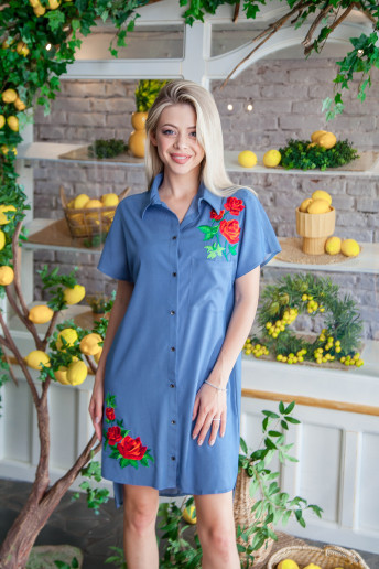 Купить вышитое платье Сардоникс в Украине от производителя Галычанка