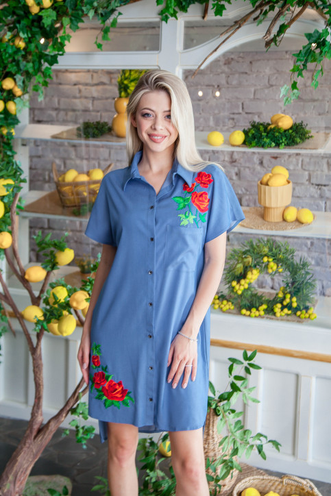 Сучасна сукня з вишивкою Сардонікс синя за низькою ціною в Україні фото 1