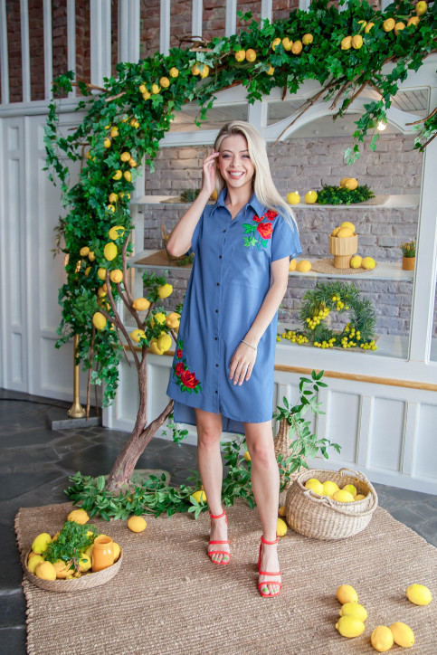 Сучасна сукня з вишивкою Сардонікс синя за низькою ціною в Україні фото 2